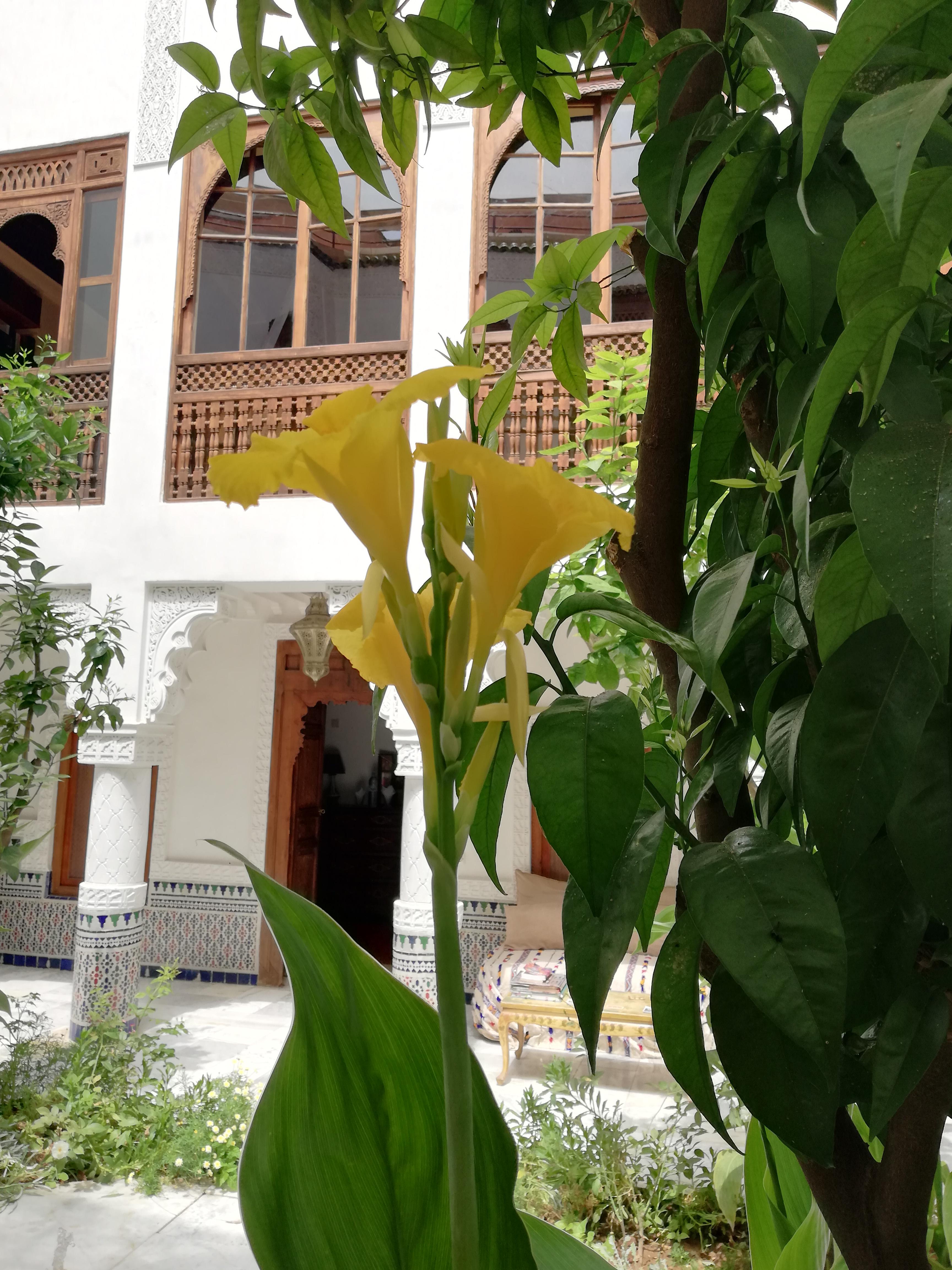 Riad Ben Youssef มาร์ราเกช ภายนอก รูปภาพ
